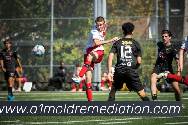 奖项3